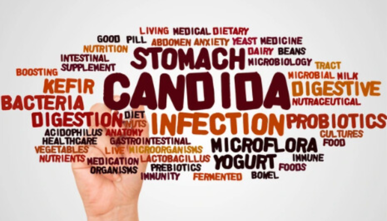 Candida Overgrowth Problem