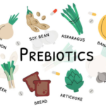 Advantages of Prebiotics