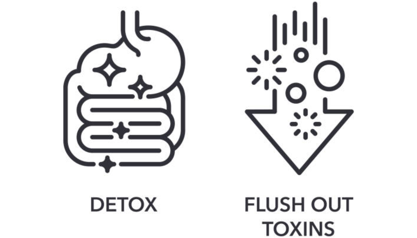 Detox Benefit Your Gut